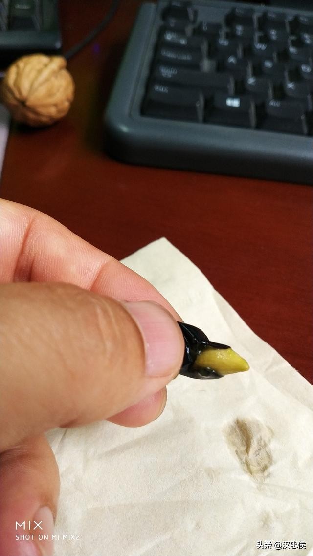 各位不用再试了，这个果子不能吃