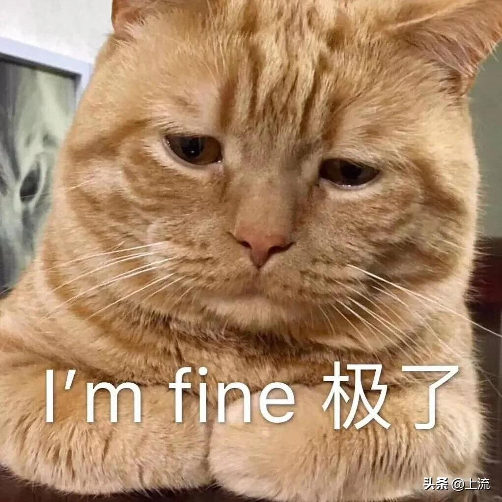 钓水鬼电影剧情是什么「解析」 _晶羽科技