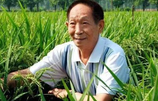 高考满分作文《袁隆平的禾下乘凉梦》，创造源于热爱，考生可套用