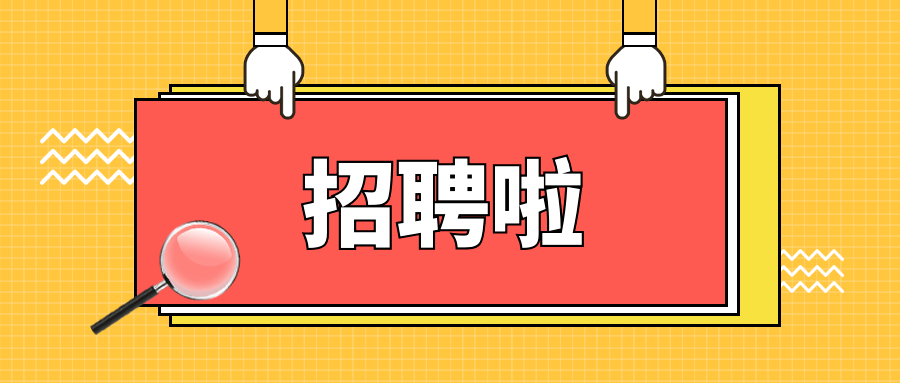 城管局、信访局、医保局招人
