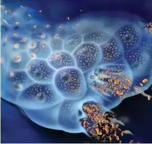 关于癌症的最强深度科普