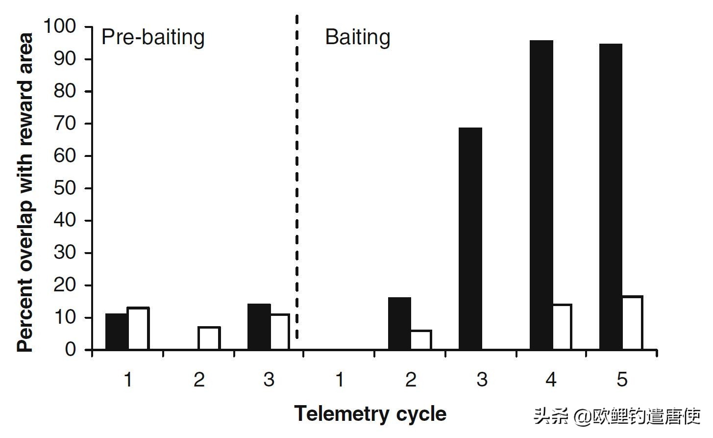 鱼的记忆真的只有7秒吗(鱼的记忆真的只有7秒吗？科学家们揭示了事实的真相)