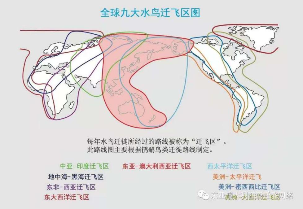 火了！北京这所大学频频登上中央电视台，研究成果在全世界发行！