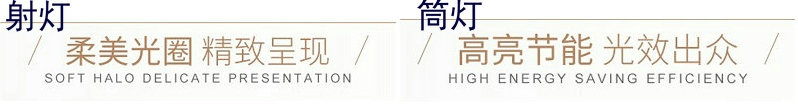 用筒灯还是射灯？你：差不多就行。专家：光束角、照射角……