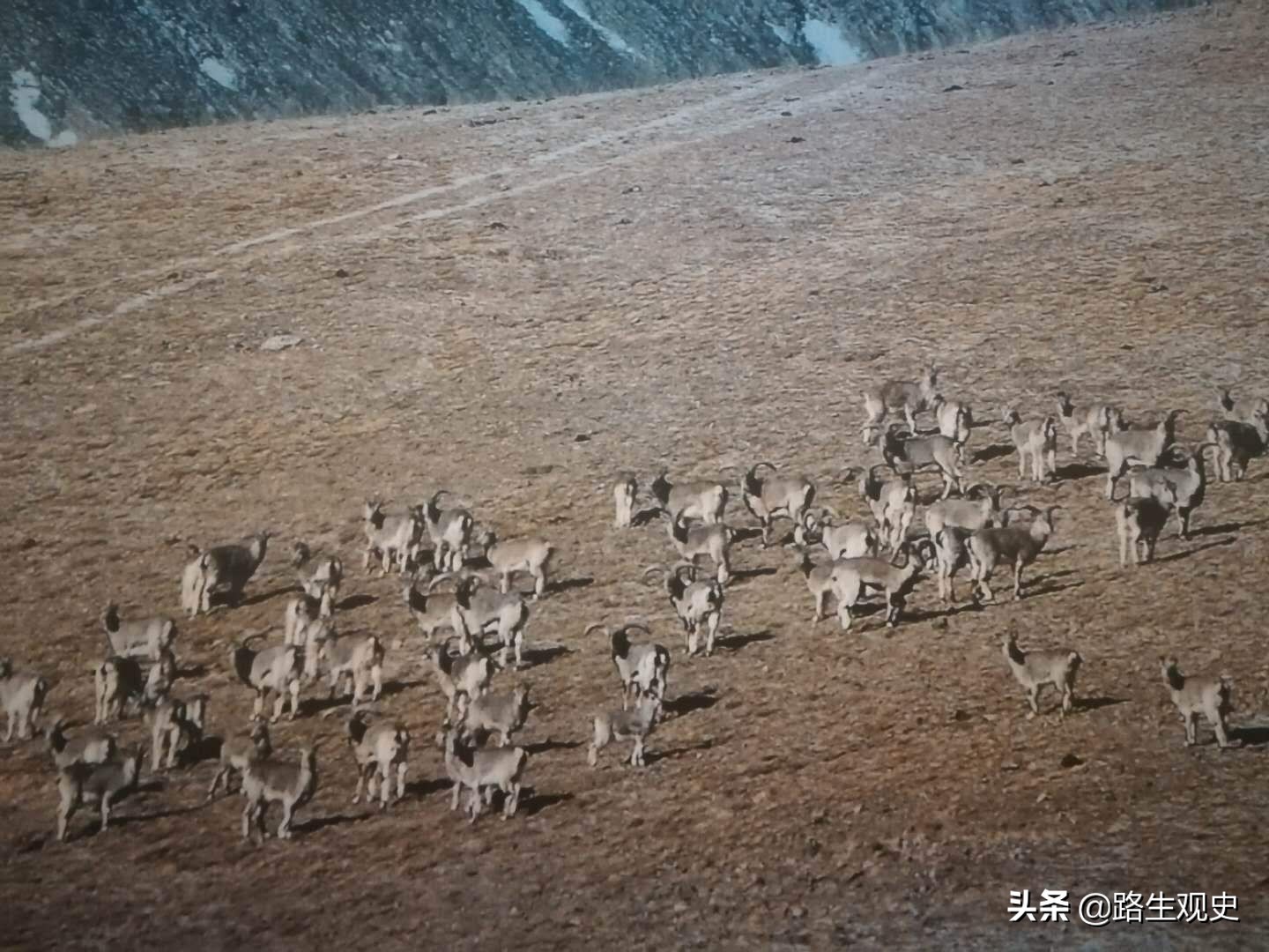 甘肃此地形同两扇门，走过去，让人会想到汉武帝领着卫青和霍去病