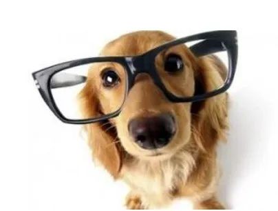 上课就是刷TikTok？这些奇葩有趣的选修课，抢起来