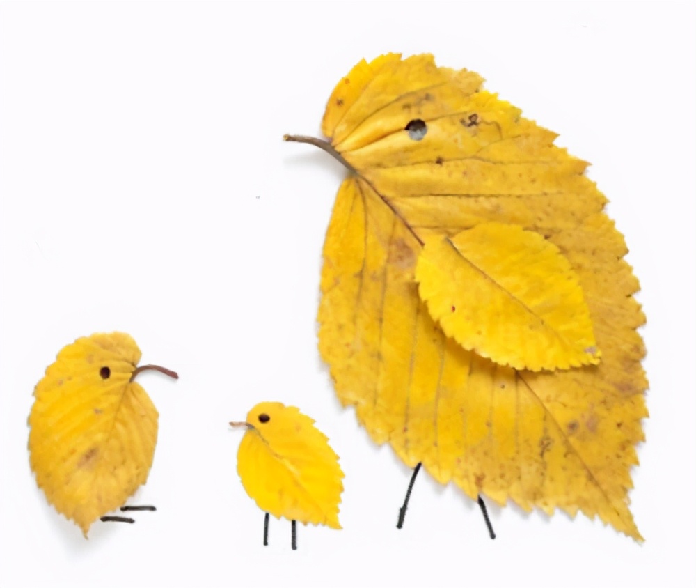 捡来树叶做一幅拼画,秋天带娃这样玩,轻松搞定幼儿园手工作业