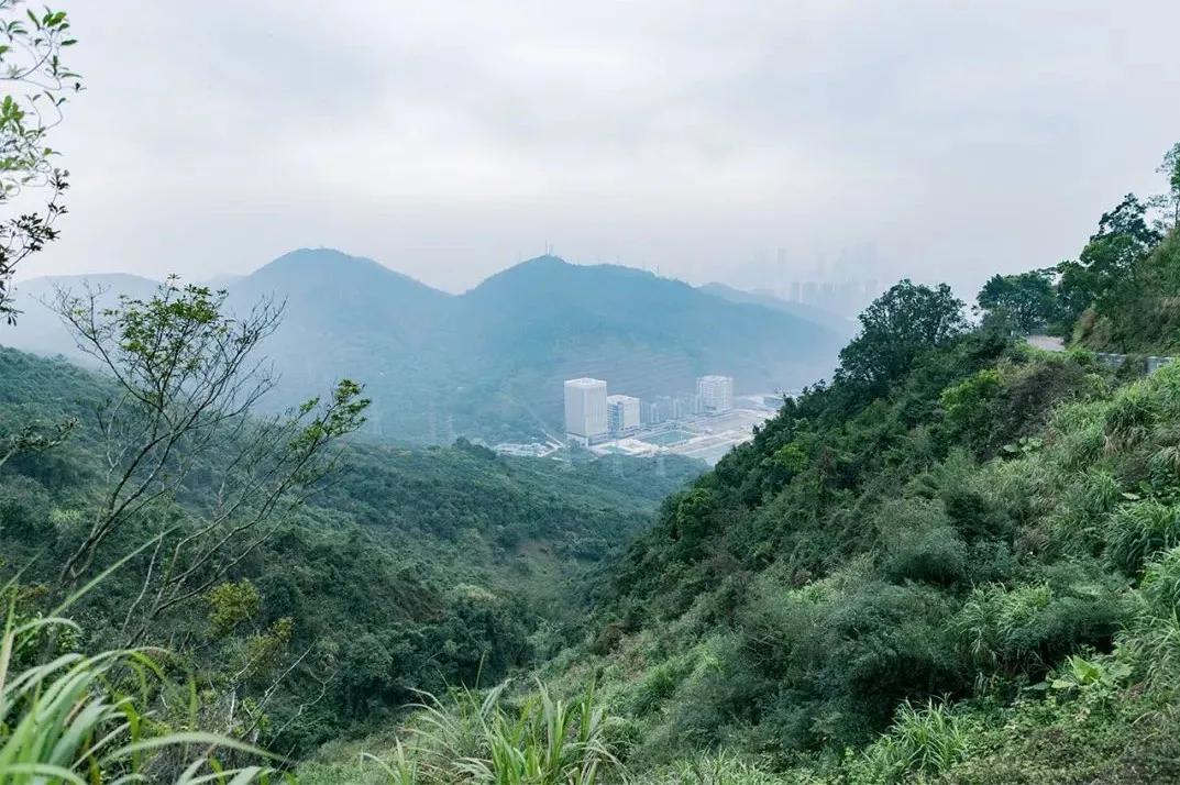 深圳值得征服的10座山，你去过几座？