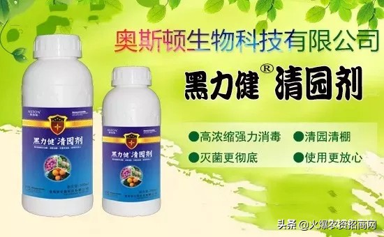 火爆农资大讲堂成都站—奥斯顿萌推活动，免费铺货做效果