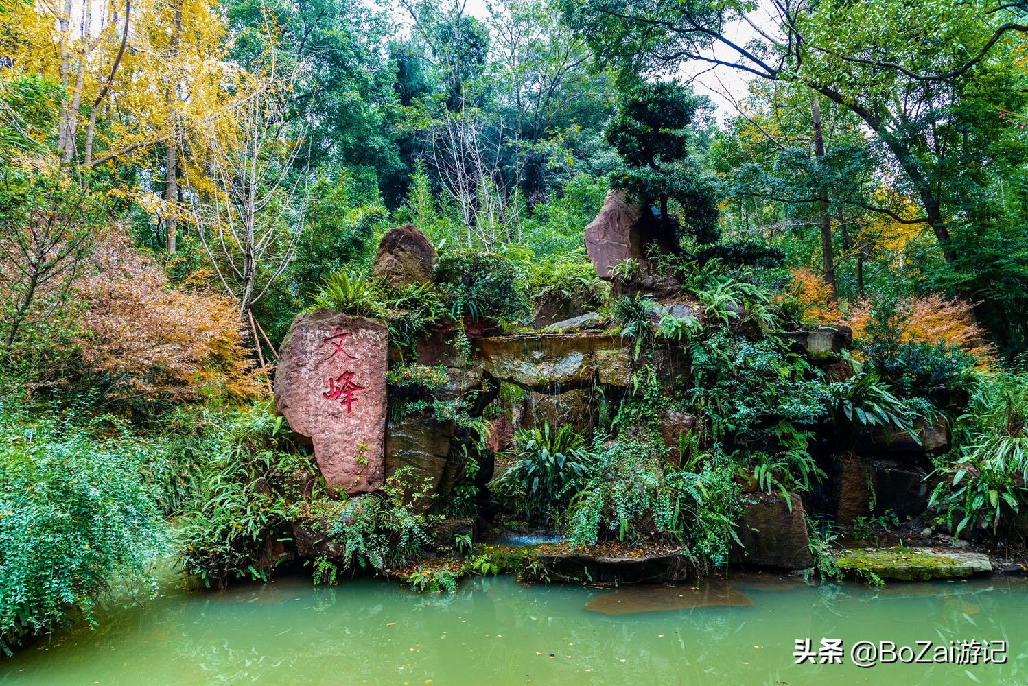 【眉山景點】到四川眉山市旅遊,這11個景點不能錯過,其中有茶葉文化的