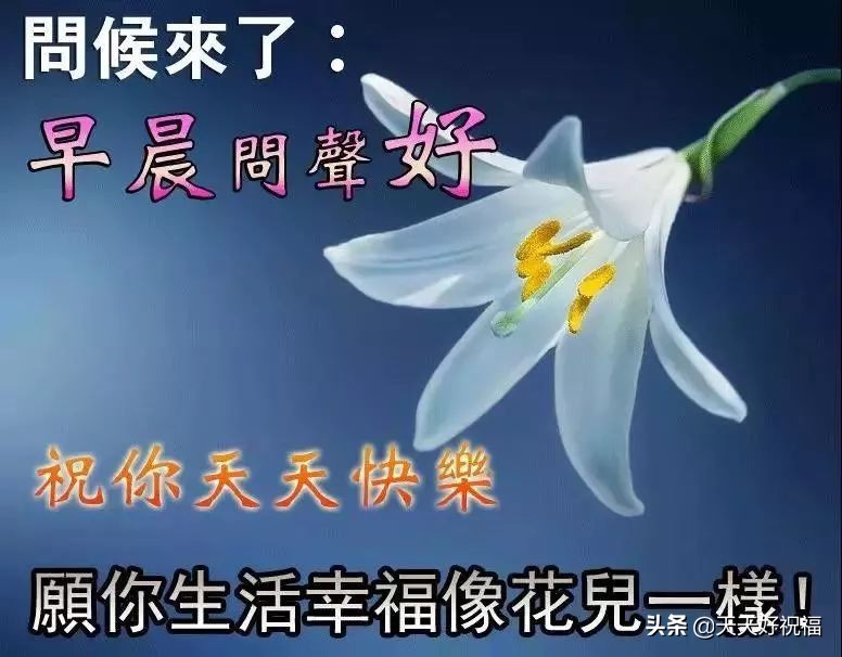 12月最新每日清晨问候大家的祝福语句，句句经典温暖人心