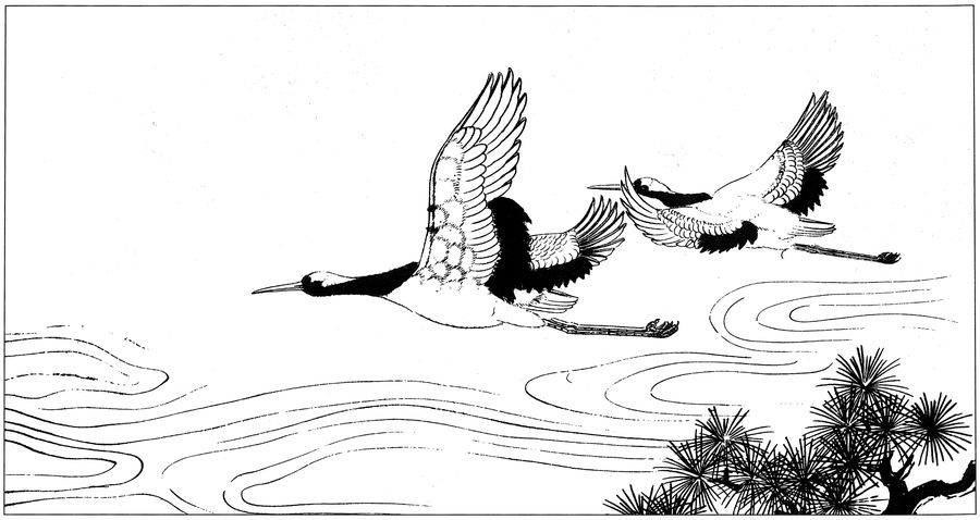 仙鹤高清白描线稿图片下载19幅