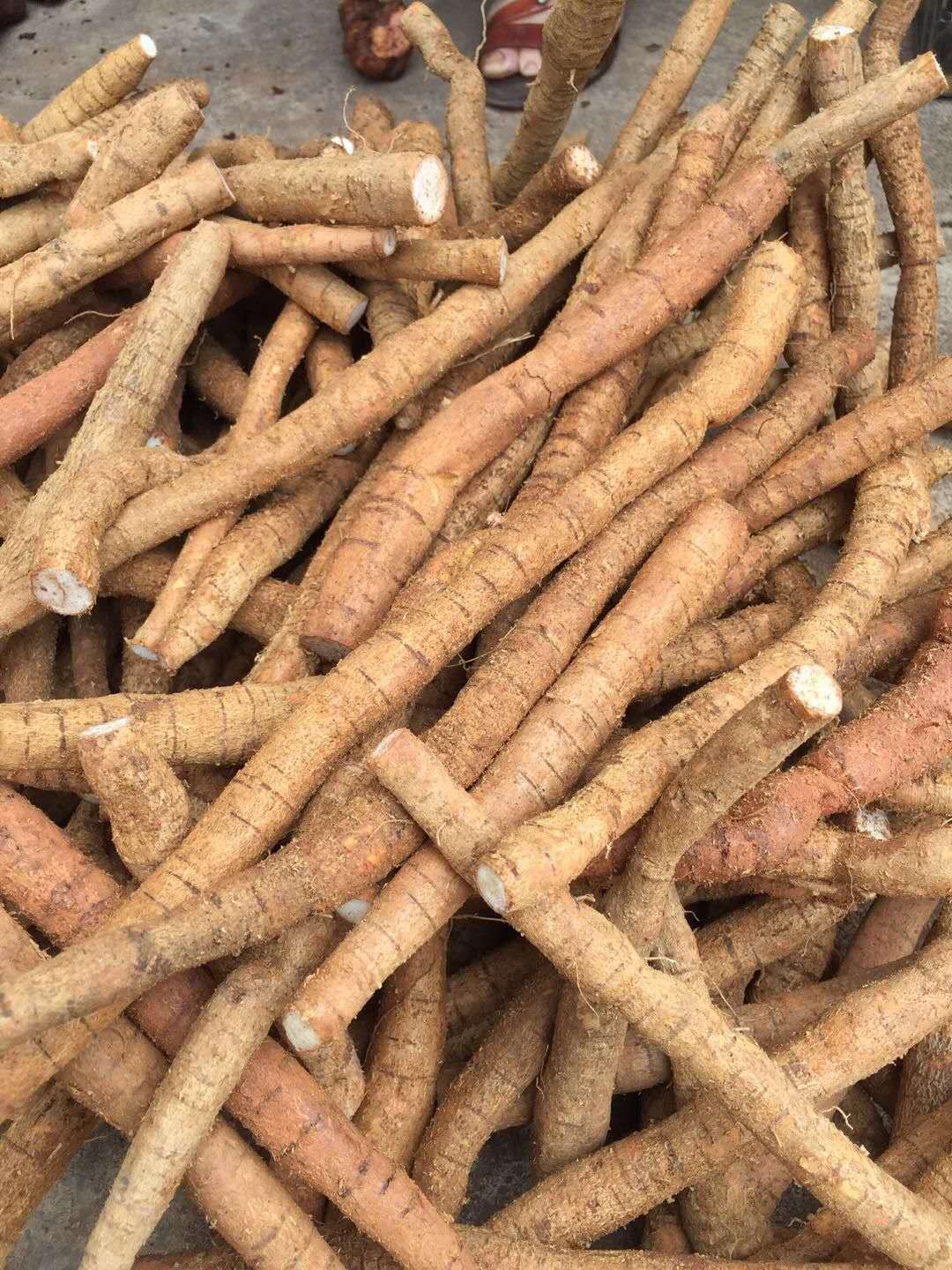 牛大力功效(广东煲汤料牛大力功效及作用)