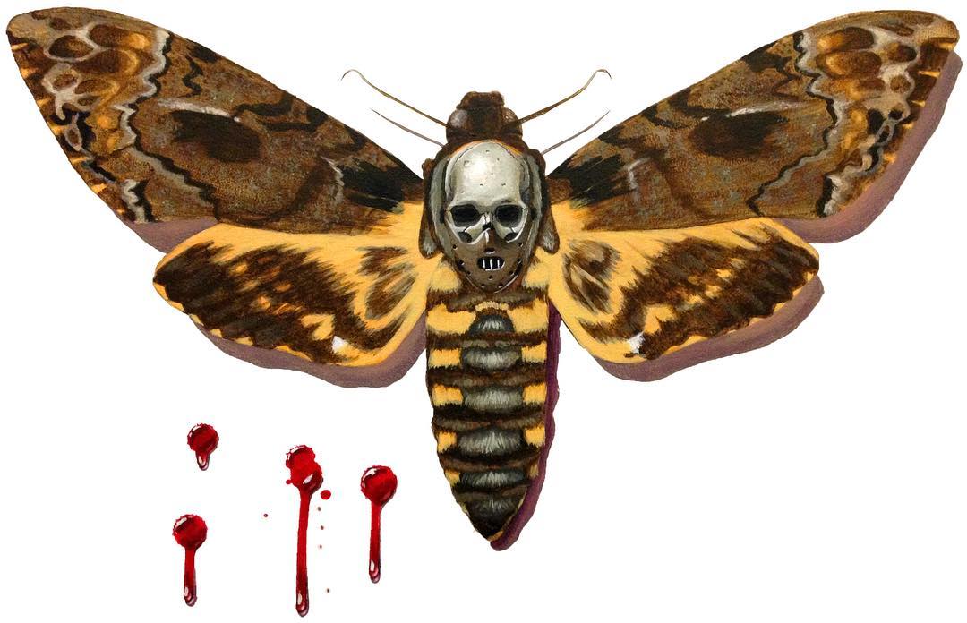 蛾子,你这个恐怖的幽灵,带着骷髅头的盔甲,其实蝴蝶这种软妹子能比的.