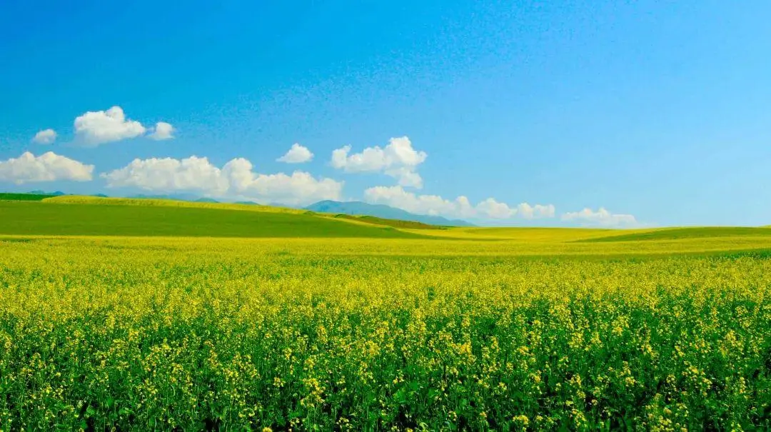 全部的成语！太齐全了，值得收藏！