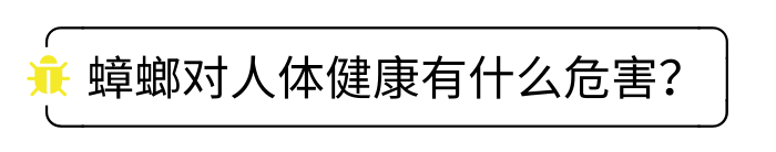 喂了药，蟑螂还是“免疫”？专家：想灭蟑，不如试试这香料