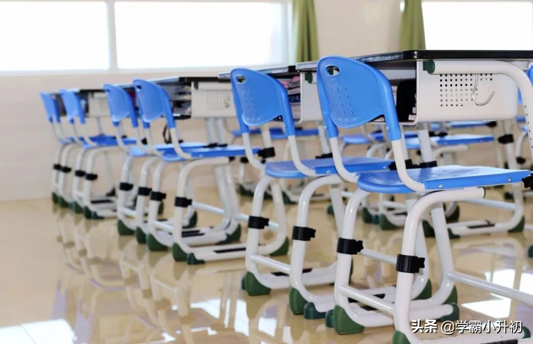 虎门外国语学校2019年小学一年级招生通告