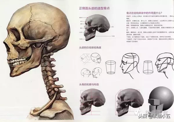 画好头像素描的内功秘籍