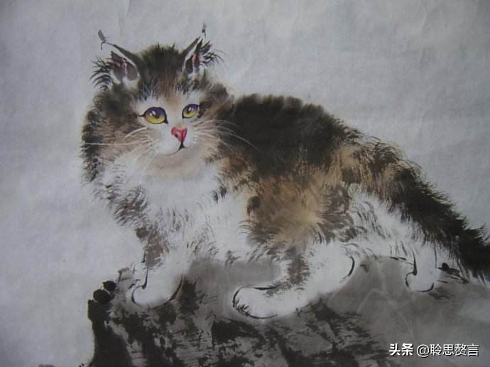 咏猫诗词精选三十三首 吸猫雅事，古已有之