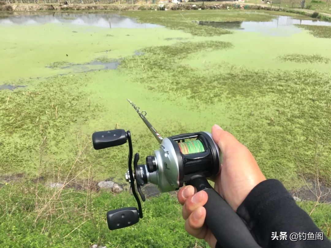 路亞黑魚,