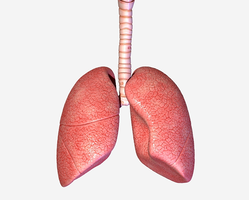 法定职业病共10类132种，你的颈椎病、腰突、是否也在其中？