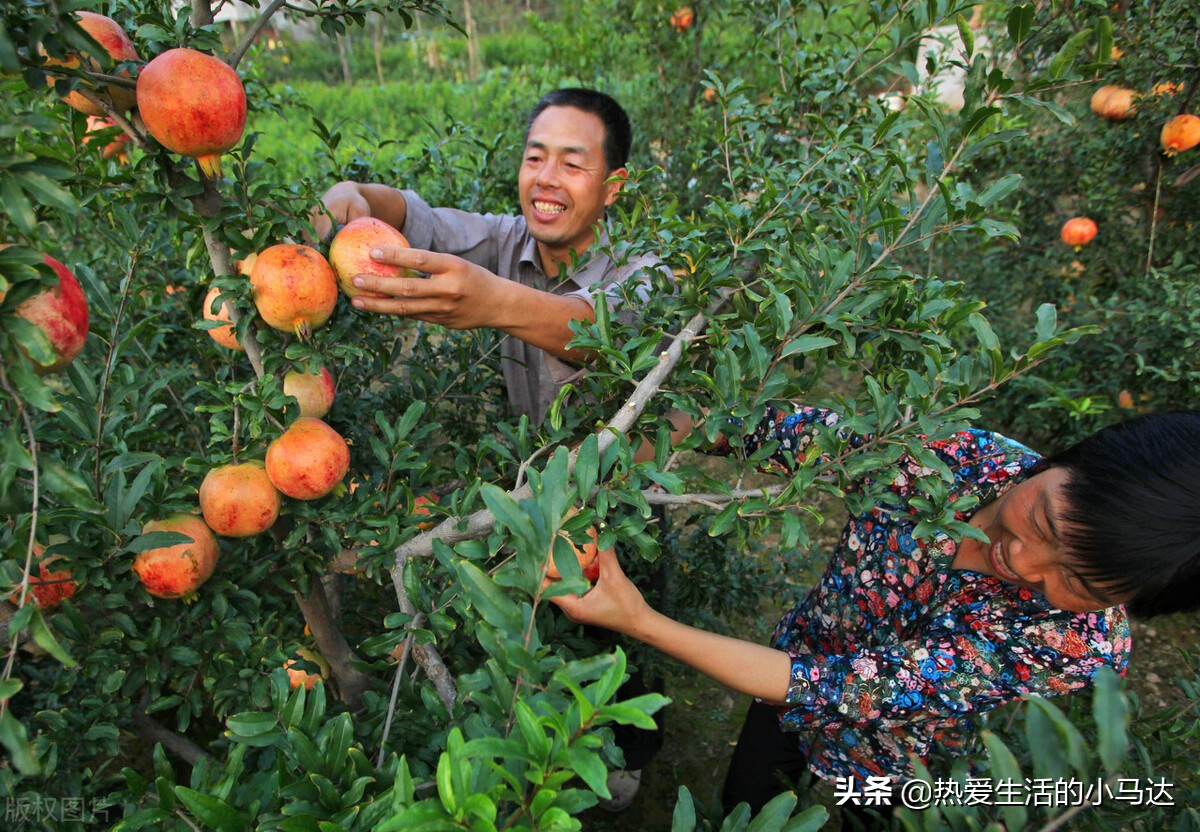 55岁男人哭诉：给73岁老大妈做男保姆，虽然工资高，但我却想走人