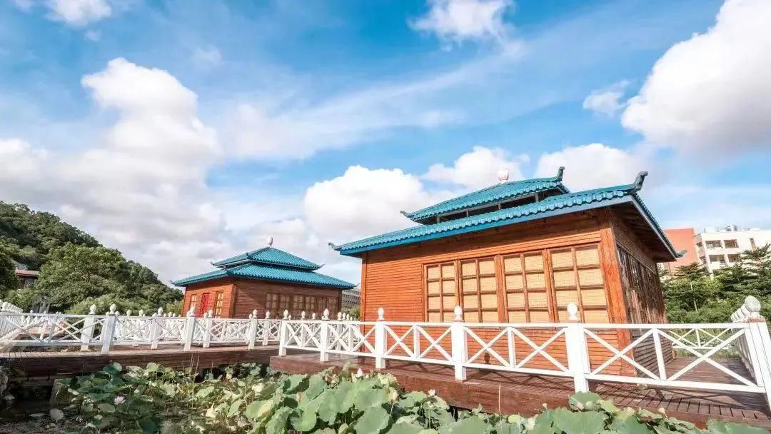 全国高校美食大赏！北大清华复旦不是最让人羡慕的......