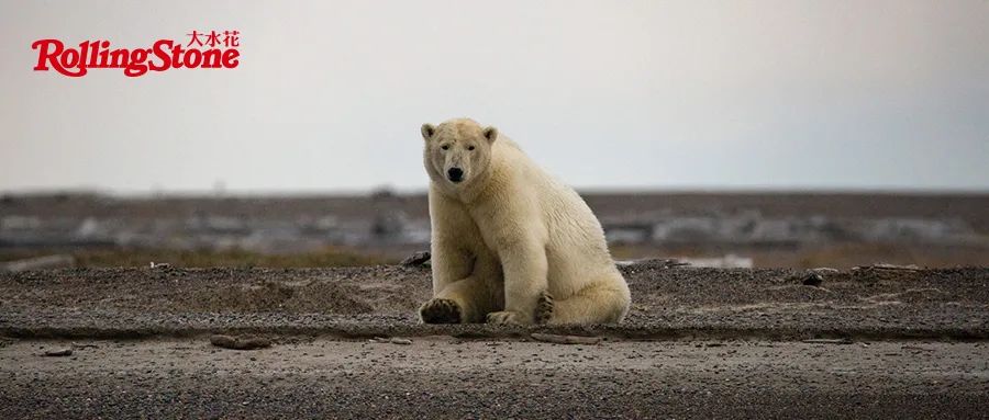 马思唯：我珍贵得像个大熊猫儿 一样只有成都才会有