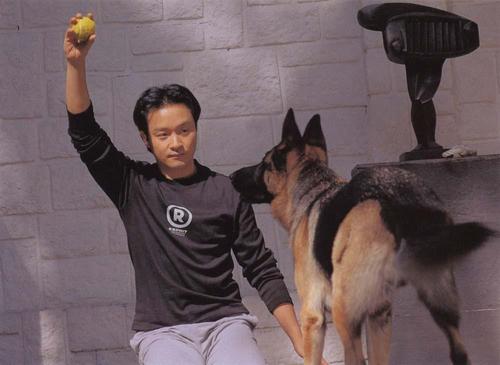什么狗最聪明最忠诚？中国的狗狗也不容小觑