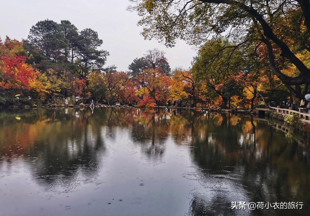 来苏州旅游不知道先去哪？5个必打卡的景点优先安排，别去错了