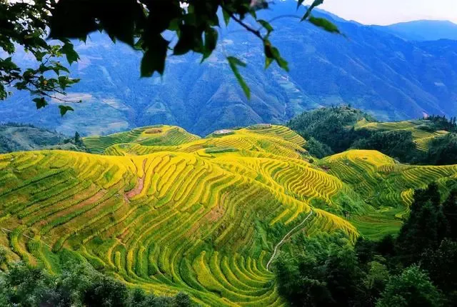 全部的成语！太齐全了，值得收藏！