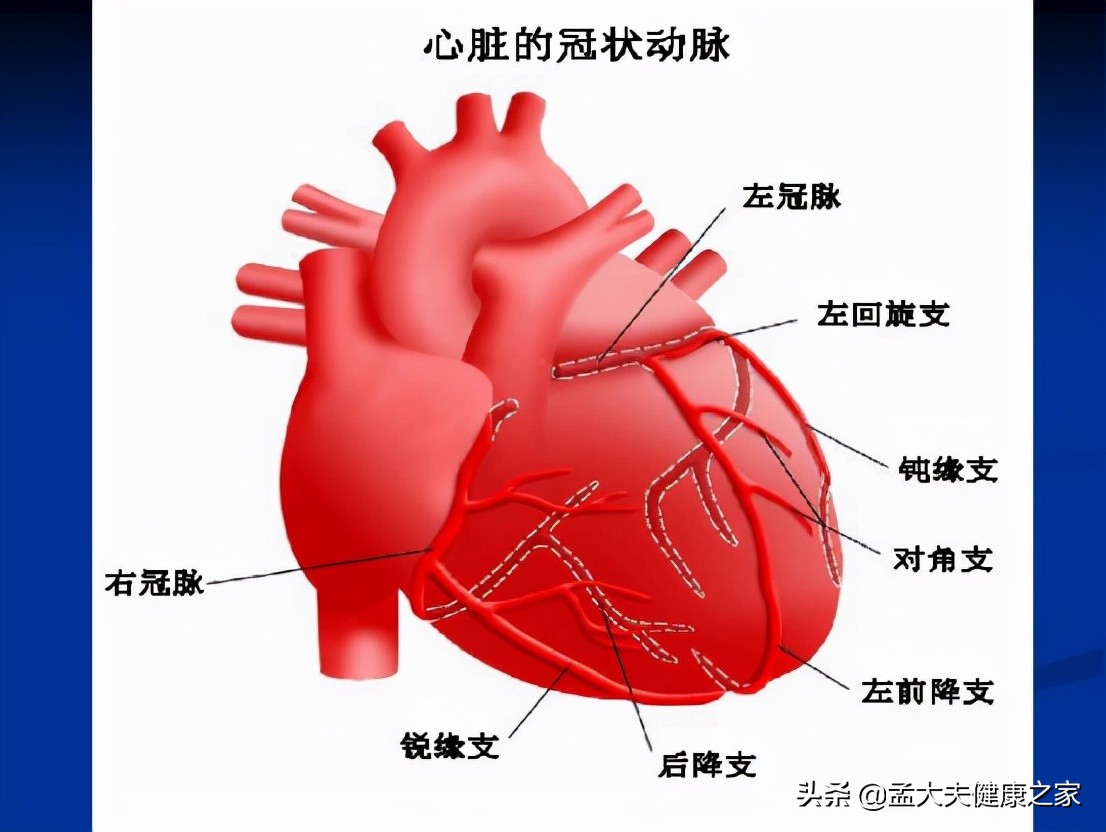 冠心病、心絞痛根在血脈不通，2個成藥理氣活血化瘀，保護心血管