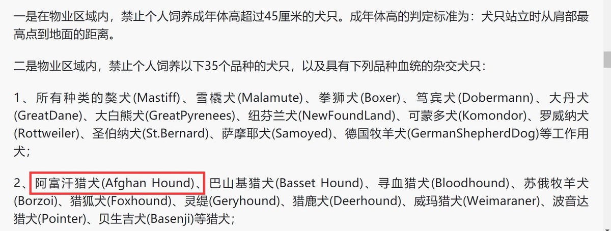 阿富汗犬，深受国外明星模特喜爱，为何被我国列为禁养犬？