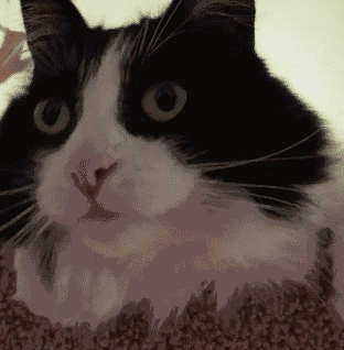 2020版最新法官、检察官表情大全！哈哈哈