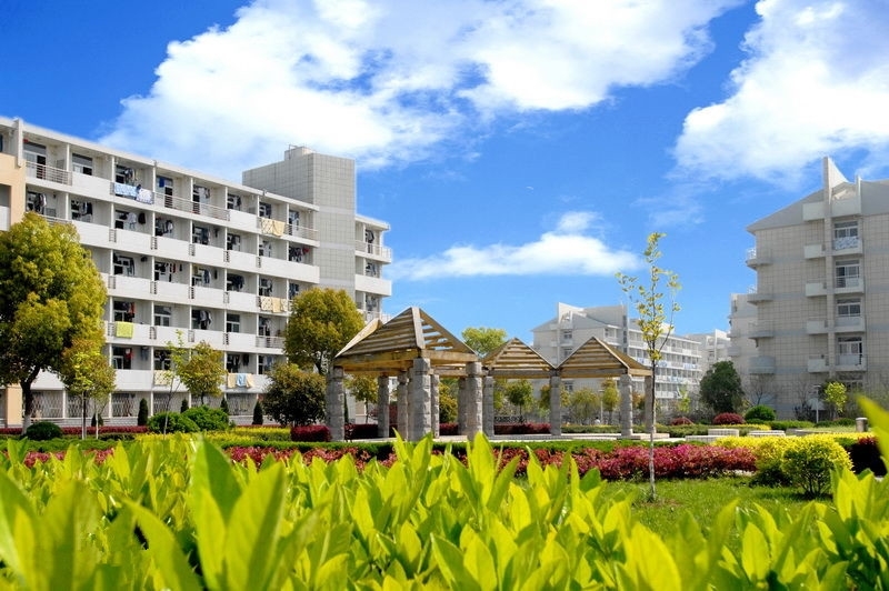 合肥工业大学2021年最新招生计划公布，艺考政策解读录取成绩