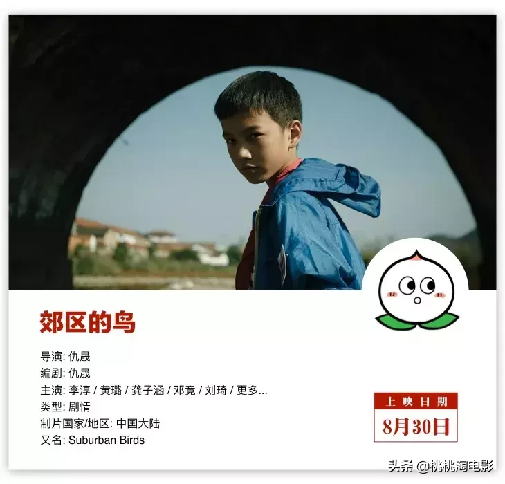 八月院线新片,有那么几部还是可以看的吧