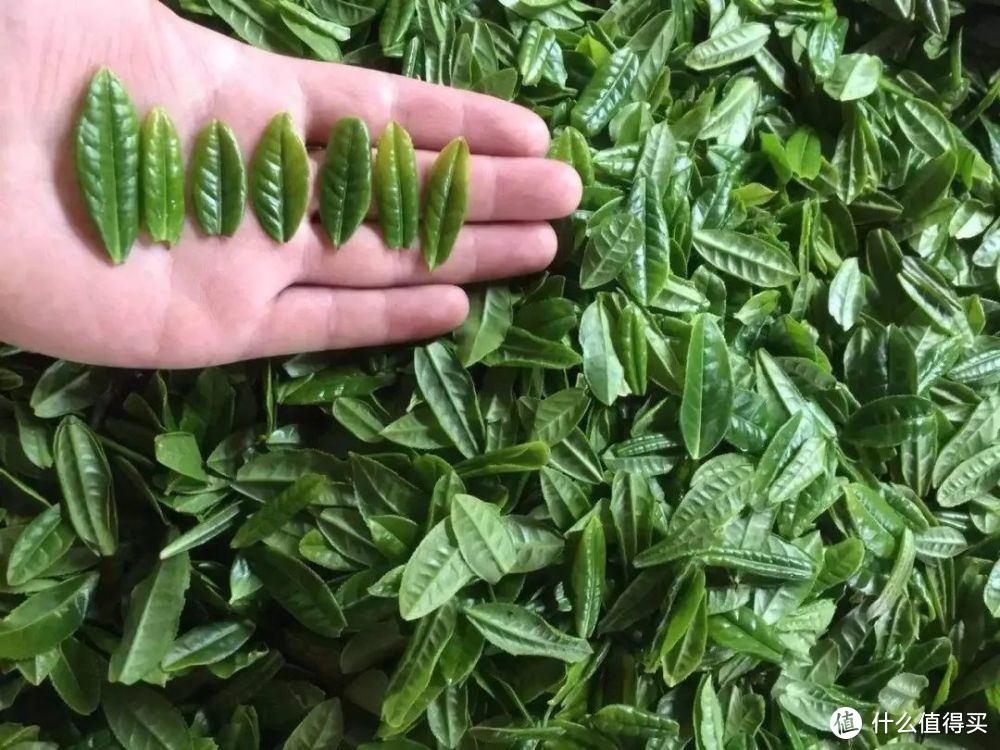 說說茶葉的價格和價值，說說十款品質中上等的優(yōu)秀茶葉