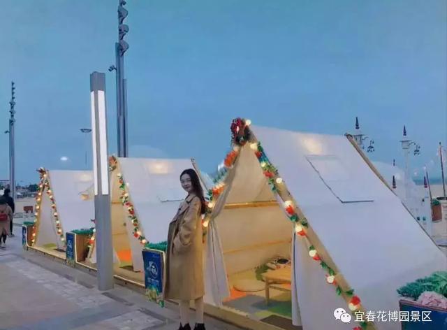 七夕来了！以花为媒，爱在袁州 相约花海