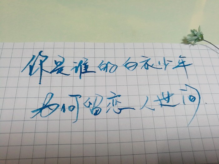 愿我一回眸的瞬间，望见你如花的笑颜