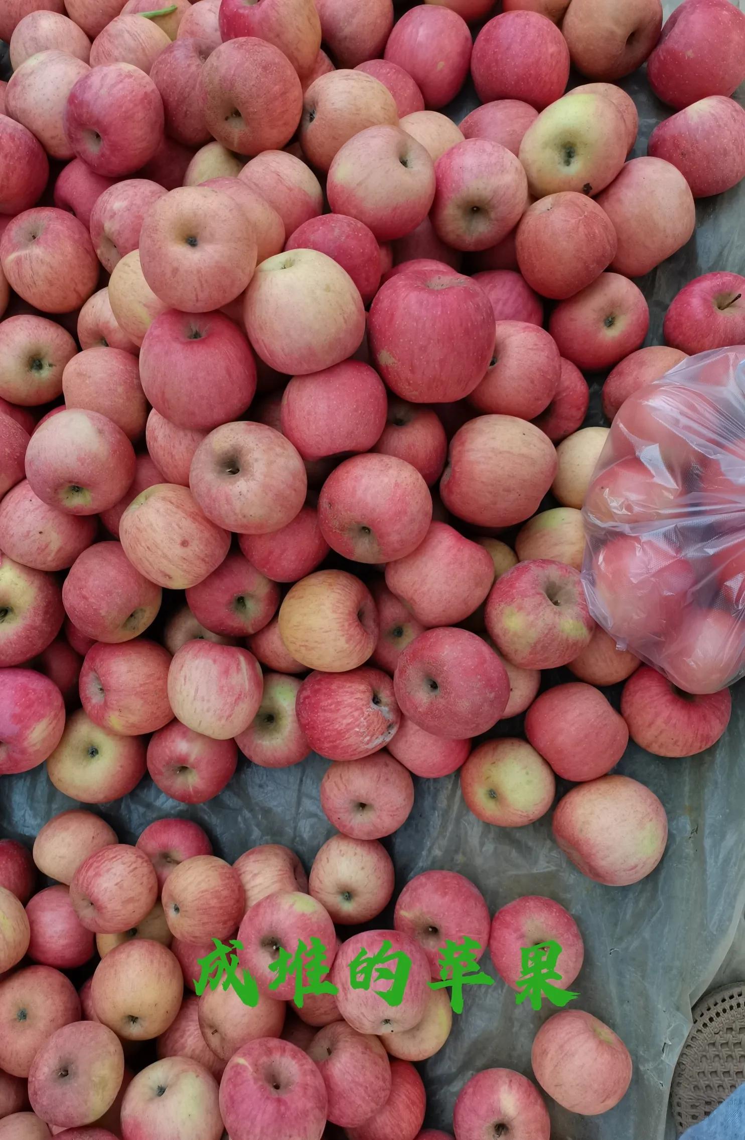 大国光苹果小国光区别