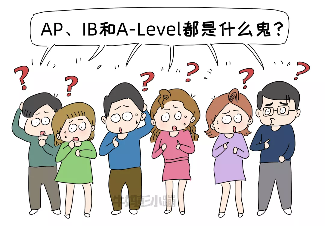 老大私立学校，老二公立学校，谈谈两者的差异和优势