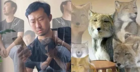 抖音里藏着多少“无穷小亮”？