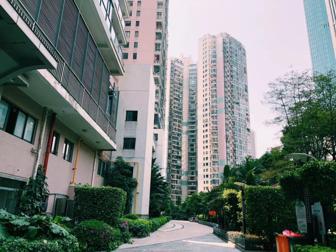 老破小一平10万+！我们走遍厦门18所名校，为你曝光最贵学区房！