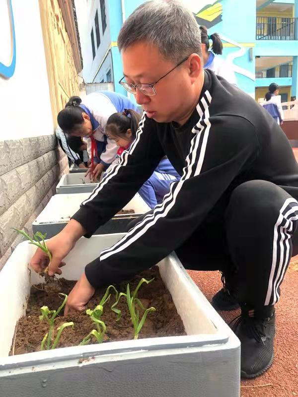 邯郸：丛台区学步桥小学开展校园劳动实践课