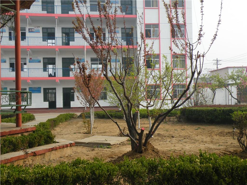 小学生优秀作文赏析：《春天的校园》三篇