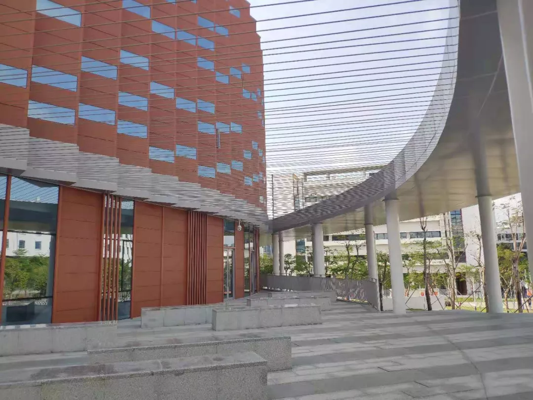 网课值不值？疫情期间，我在布兰迪斯大学的就读体验