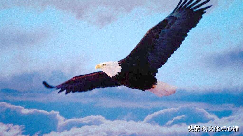 李白生平最狂的一首诗，一开篇就极具震撼力，令人读来直呼过瘾