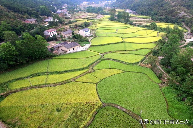 农村土地有偿永久性退出试点村，一亩承包地给3万，你愿意退吗？