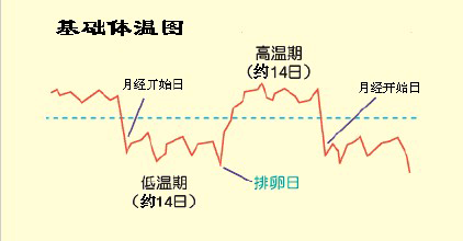 感冒发烧体温老不退到底是为什么？