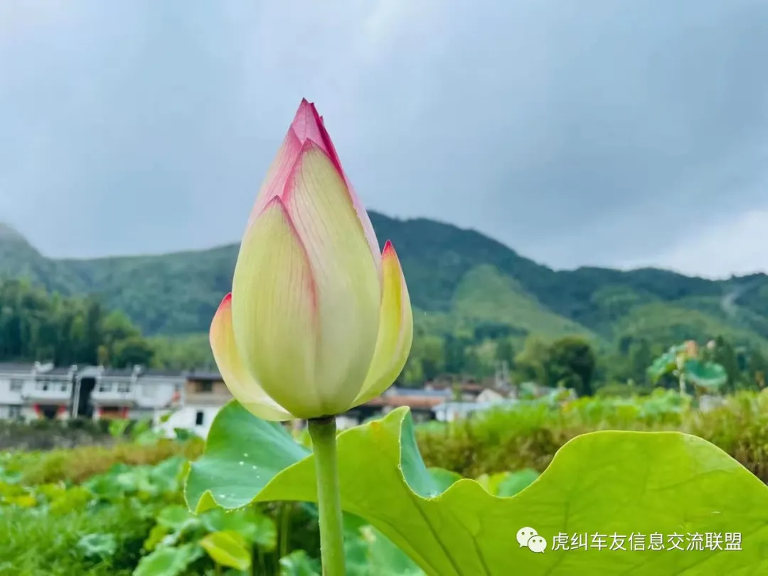 福建车茶机车俱乐部鼎力助阵首届泰宁机车旅游节花絮篇
